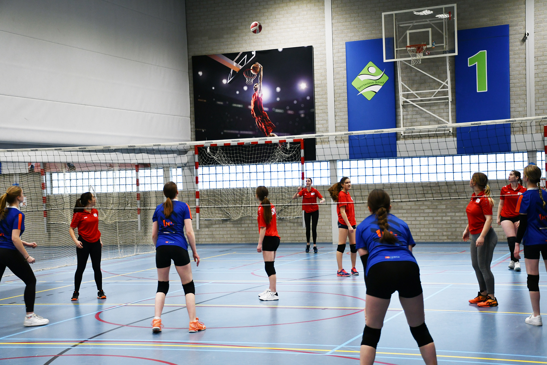 Euro volley infoto 1920 D