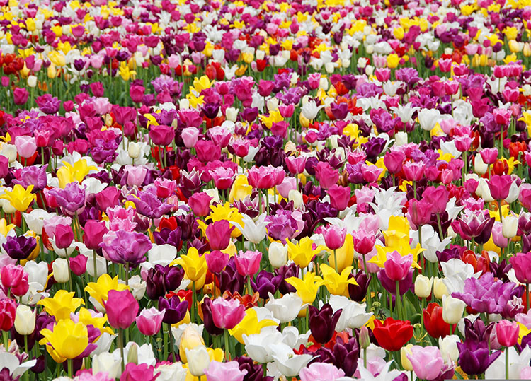 Genieten van de meivakantie!