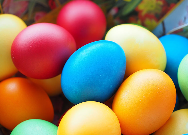 Vrolijk Pasen voor iedereen!