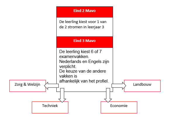 Mavo schema 2019